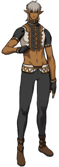 Elvaan Male Art from Final Fantasy XI