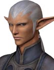 Elvaan Male Face 4