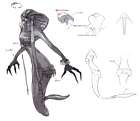 Lamia