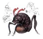 Wamouracampa