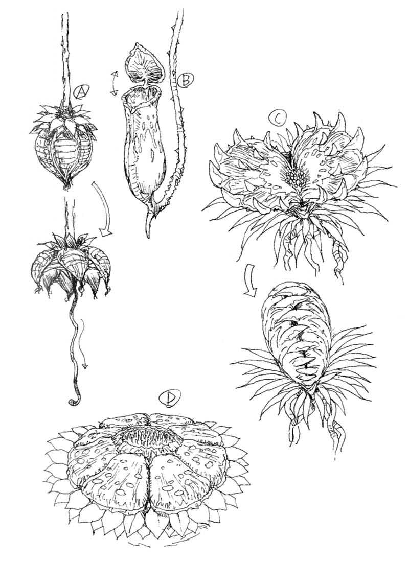 Ancient Forest Plant Traps Art from Final Fantasy VII