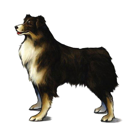 Angelo Art from Final Fantasy VIII