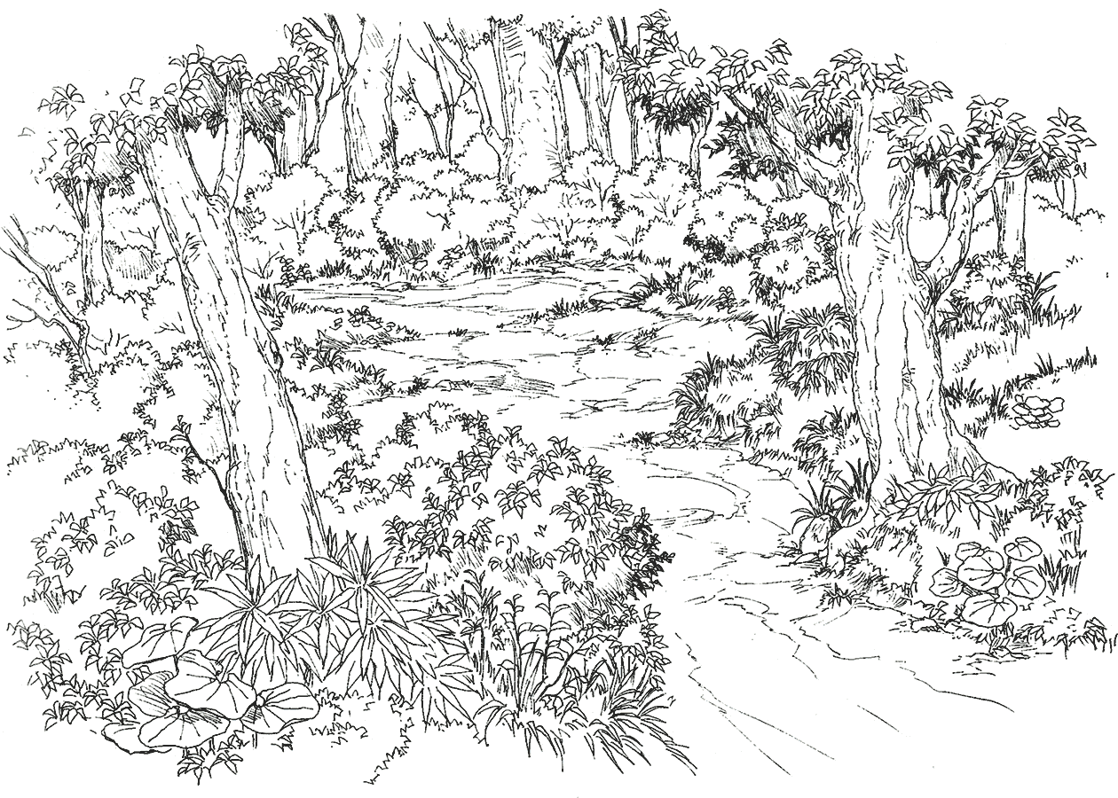 Solitude Chocobo Forest Art from Final Fantasy VIII