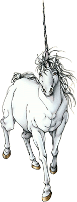 Sigfried Art from Suikoden II