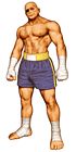 Sagat (Street Fighter)