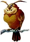 Kaepora Gaebora Owl