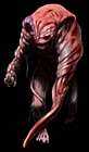 Biological Enemy