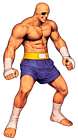 Sagat (Street Fighter)