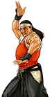 Ryuhaku Todoh (Art of Fighting)