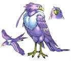 Empyrea