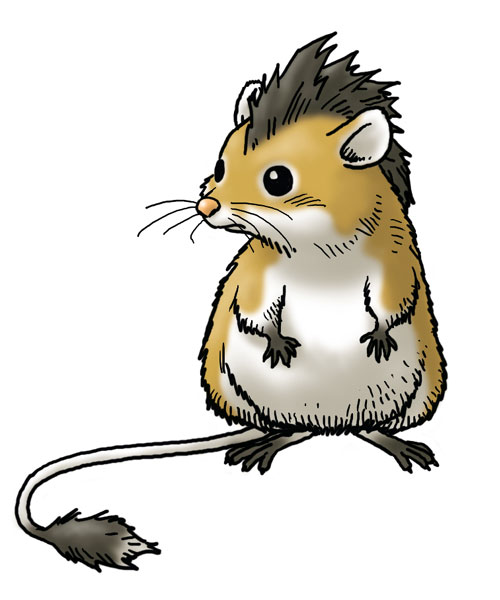 Munchie Art from Dragon Quest VIII