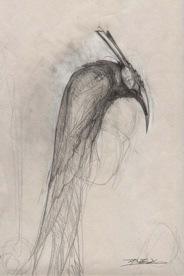 Raven Sketch from Heavenly Sword