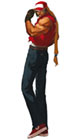 Terry Bogard