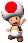 Toad