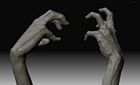 Mummy Hands Model