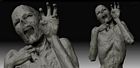 Mummy Model