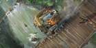 Bridge Wreck