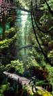 Maguuma Jungle