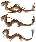 Dragon Concept Art