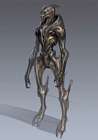 Turian