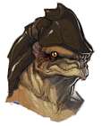 Urdnot Wrex Face