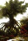Ancient Tree