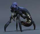 Thunderbug