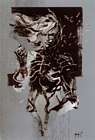 Raiden Promo Illustration
