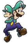 Luigi & Baby Luigi