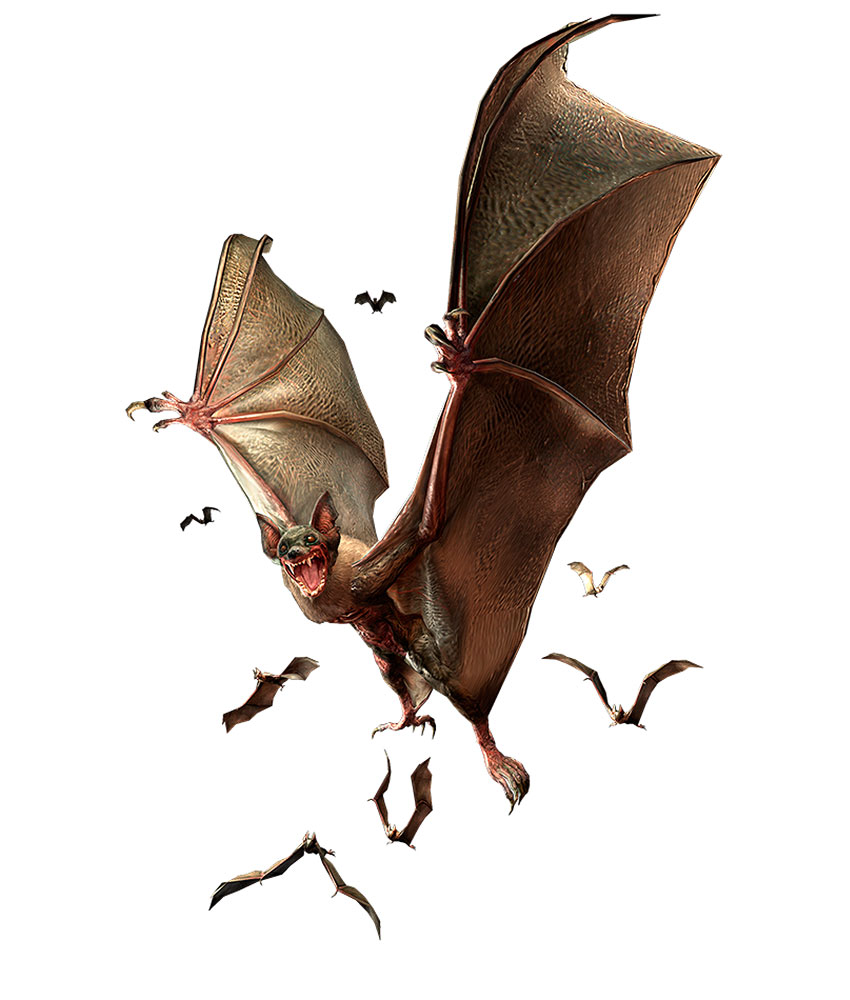 Infected Bat Art from Resident Evil Zero