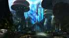 Environment Concept
