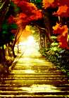 Forest Steps