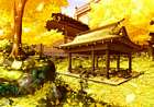 Ginkgo Forest