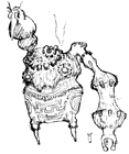 Colossus Concept