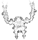 Colossus Concept