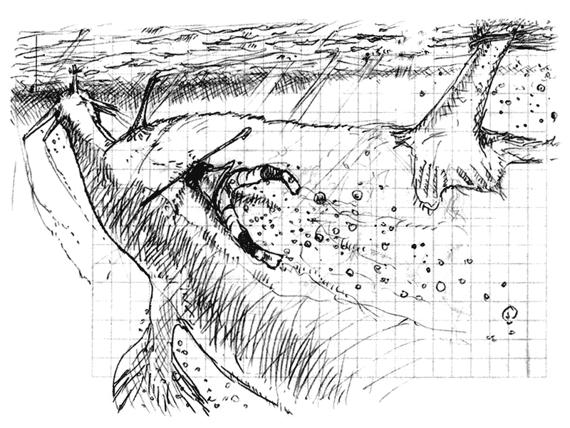 Concept Sketch from Shadow of the Colossus