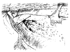 Concept Sketch