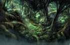 Jungle Concept