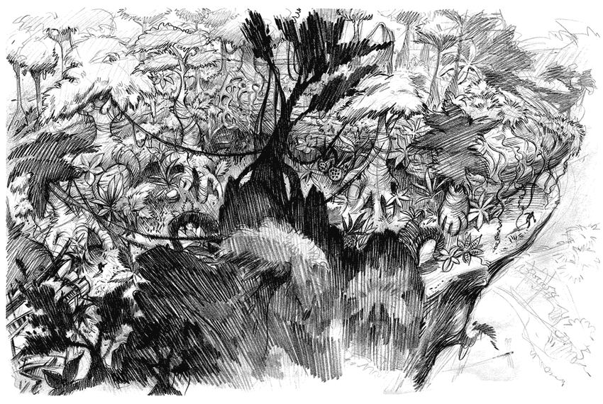 Jungle Sketch from Turok