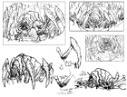 King Bug Concept