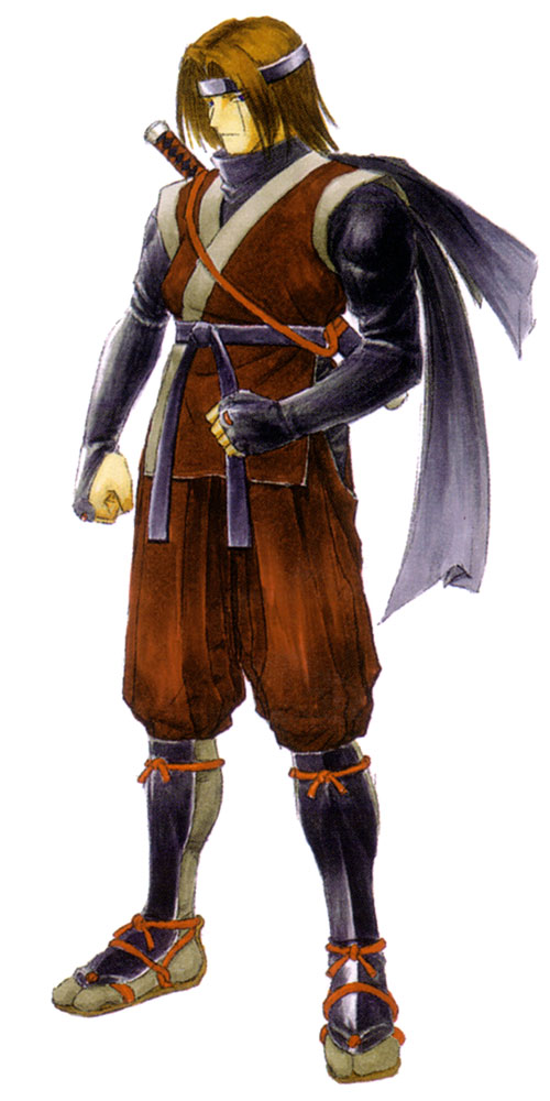 Hayate Art from Dead or Alive 3