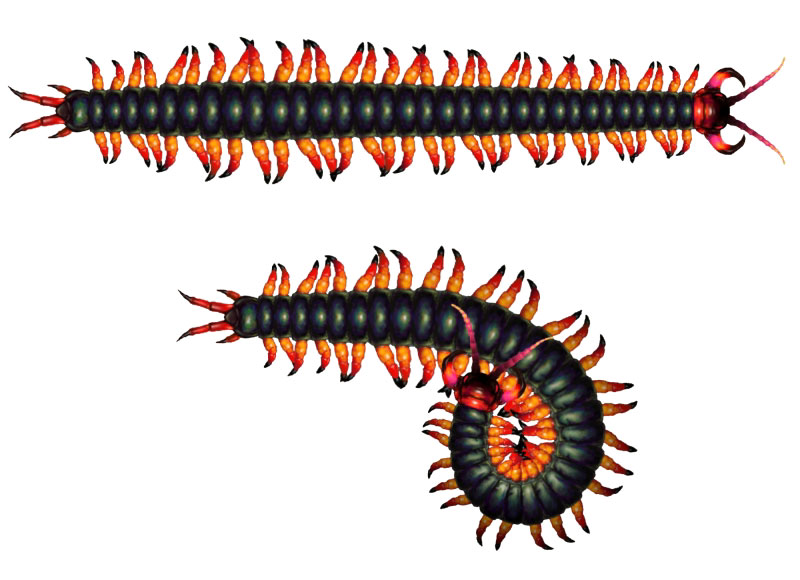 Omukade Art from Muramasa: The Demon Blade