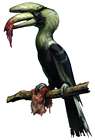 Zombie Hornbill