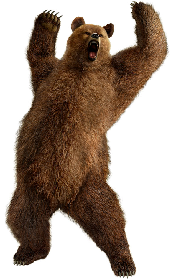Kuma Art from Tekken 6