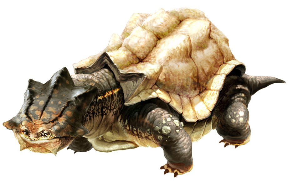 Star Turtle Art from Aion