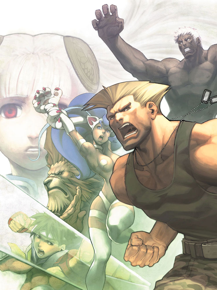 Box Art from Capcom Fighting Evolution