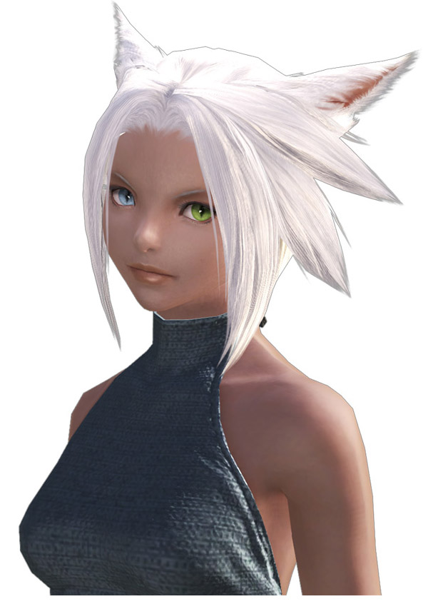 Seekers of the Sun Miqo'te Face Art from Final Fantasy XIV