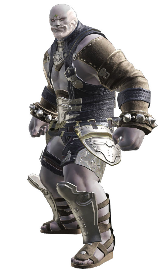 Seawolves Roegadyn Art from Final Fantasy XIV