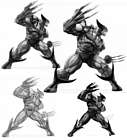 Wolverine Sketches
