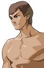 Fei-Long
